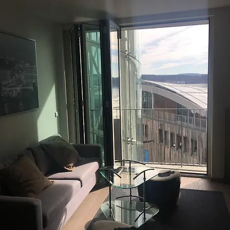 Luxury 1 Bedroom With Seaview דירה אוסלו